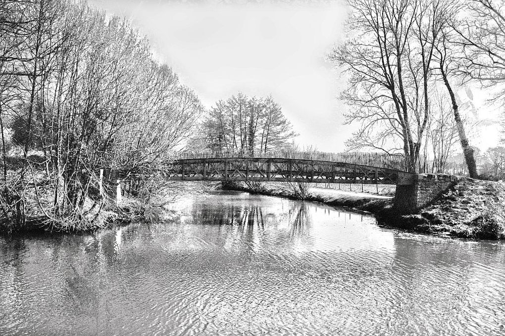 Photographe auteur, originaire de la forêt de Brocéliande. Pratique essentiellement la retouche et le photomontage numérique.