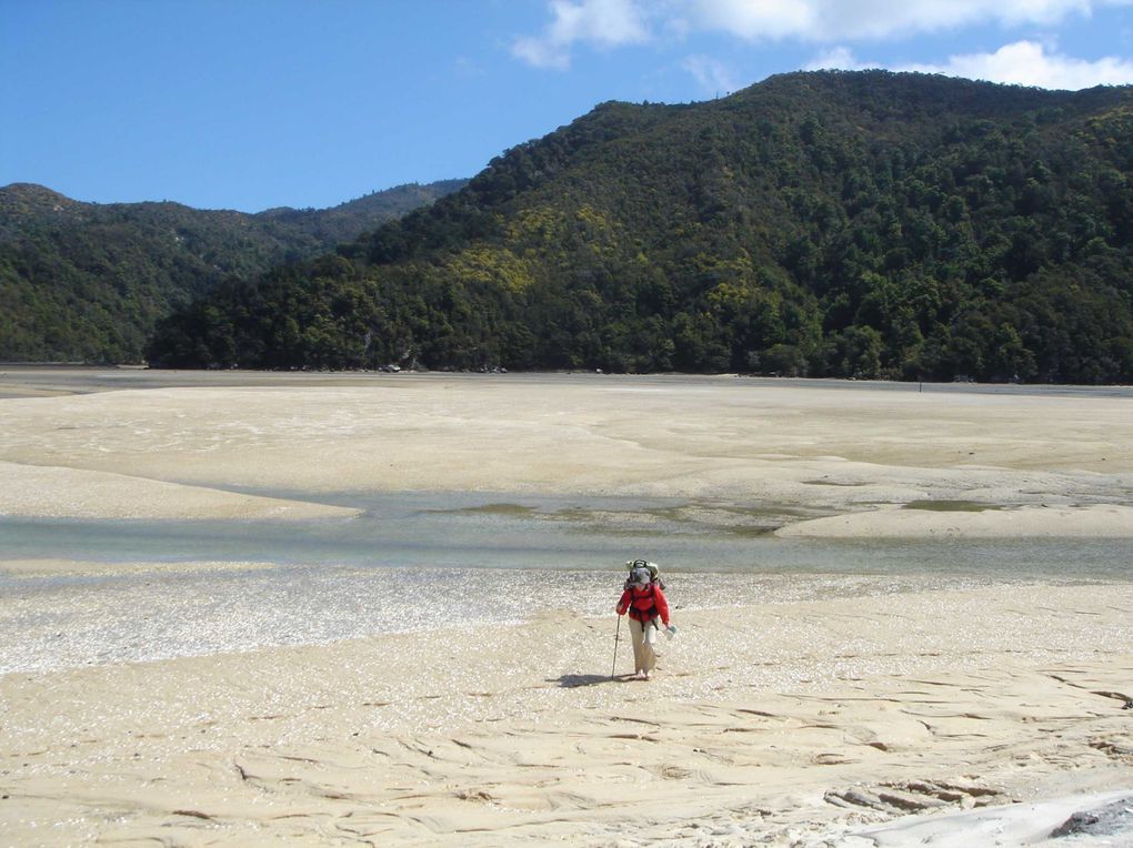 Album - Top South Island