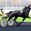 meilleures cotes pour le quinté de ce soir a vincennes  départ a 20h30 