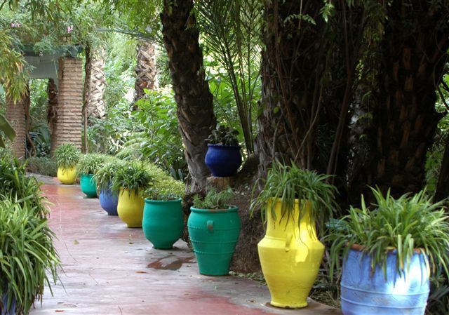 Album - Le-jardin-Majorelle