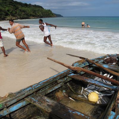 Pêche à la plage Rincon