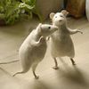 Mon coaching : la souris danse