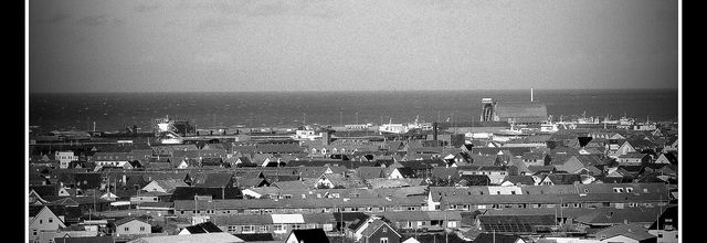 Un dimanche en photo # 105