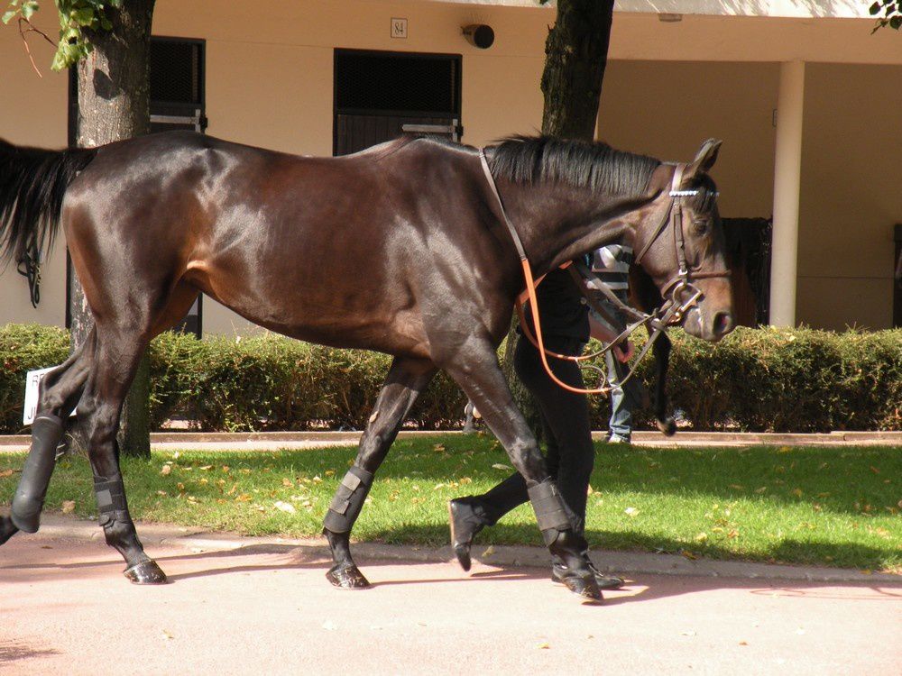 Album - 20110924-AUTEUIL