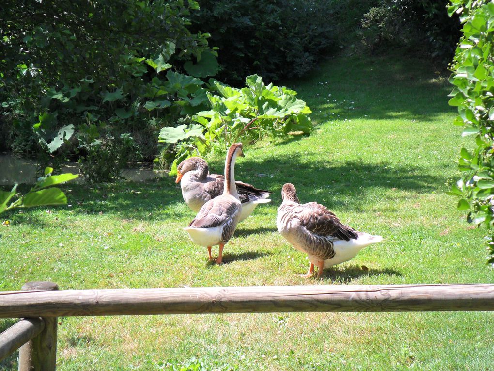 Album - Sortie-des-maternelles-au-Jardin-des-Olfacties