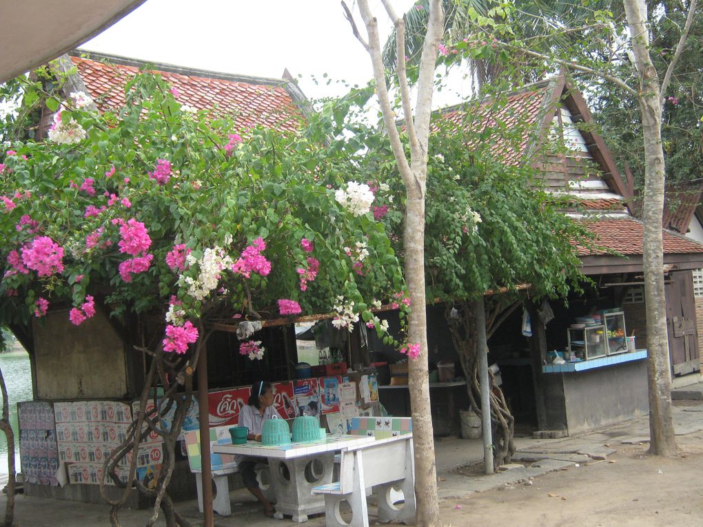 Album - 15-Thailande-ayutthaya-sukhothai