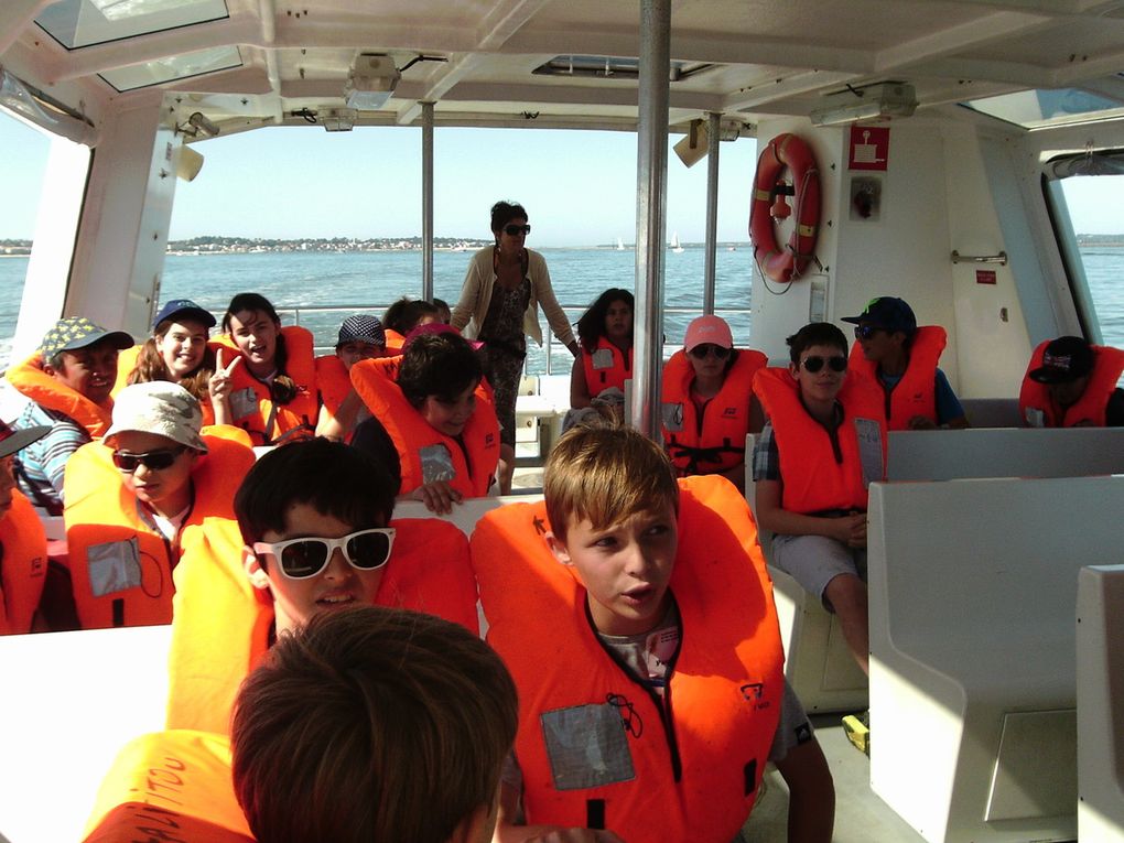 Les CM2 sur le Bassin d'Arcachon