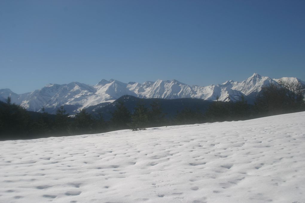 Album - Ardengost-.Col-Cap-de-Cros.-17-fevrier-2013