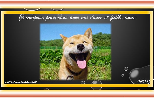 Pour rire un peu N° 6. par Lande