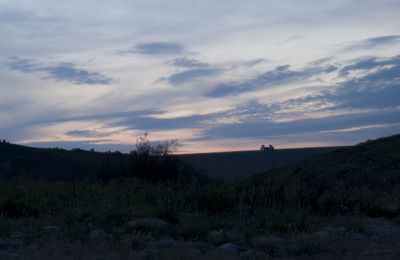 contre-jour (Brigitte)(brut de capteur)