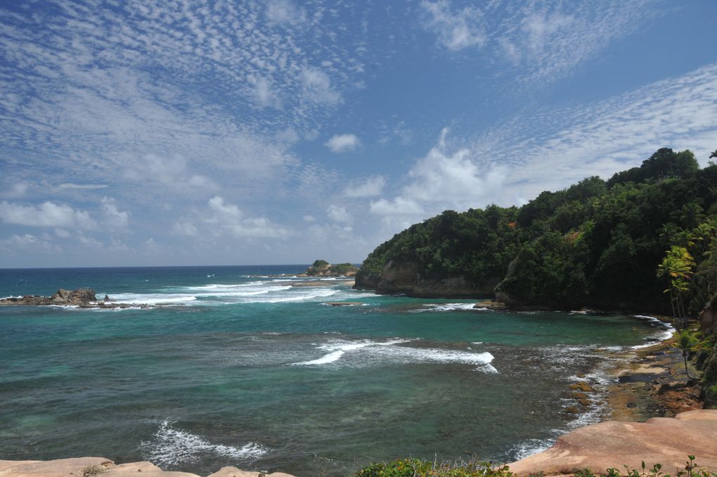 Album - Red-Rock Dominica