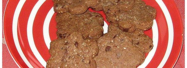 Sablés au chocolat