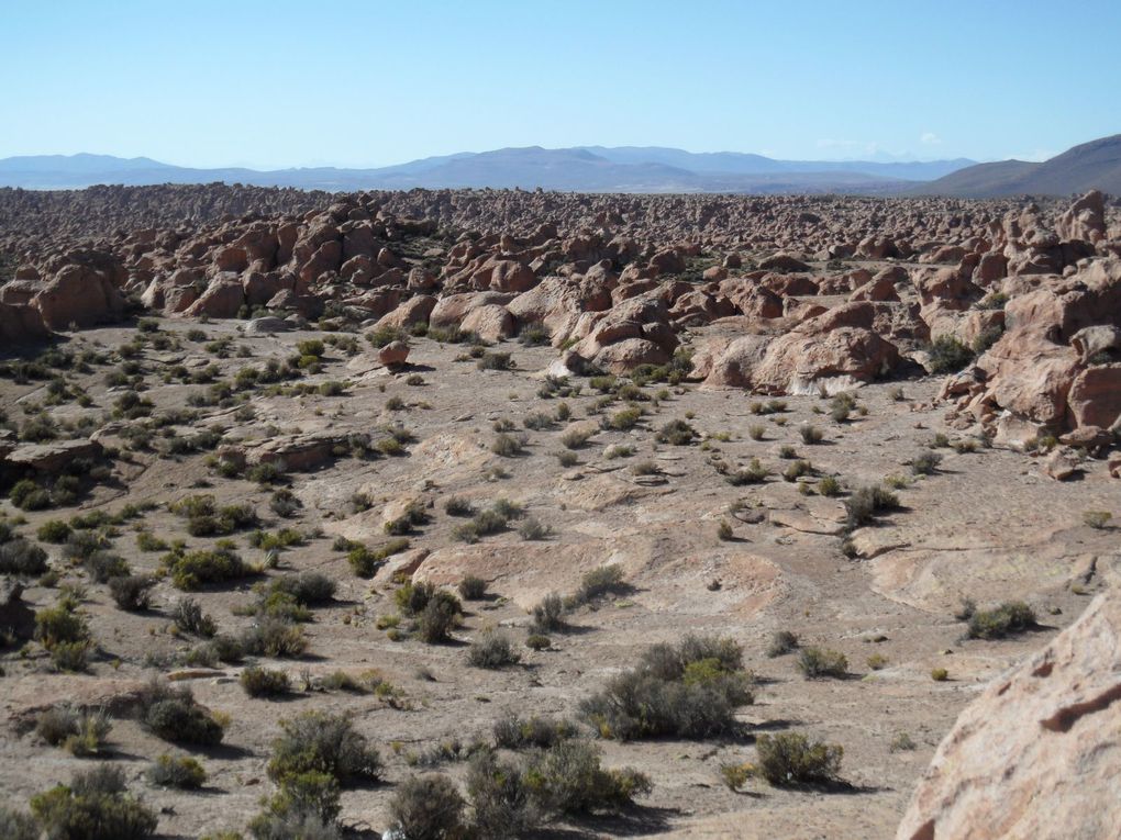 Album - Uyuni-et-ses-environs