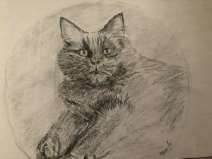 La gribouille