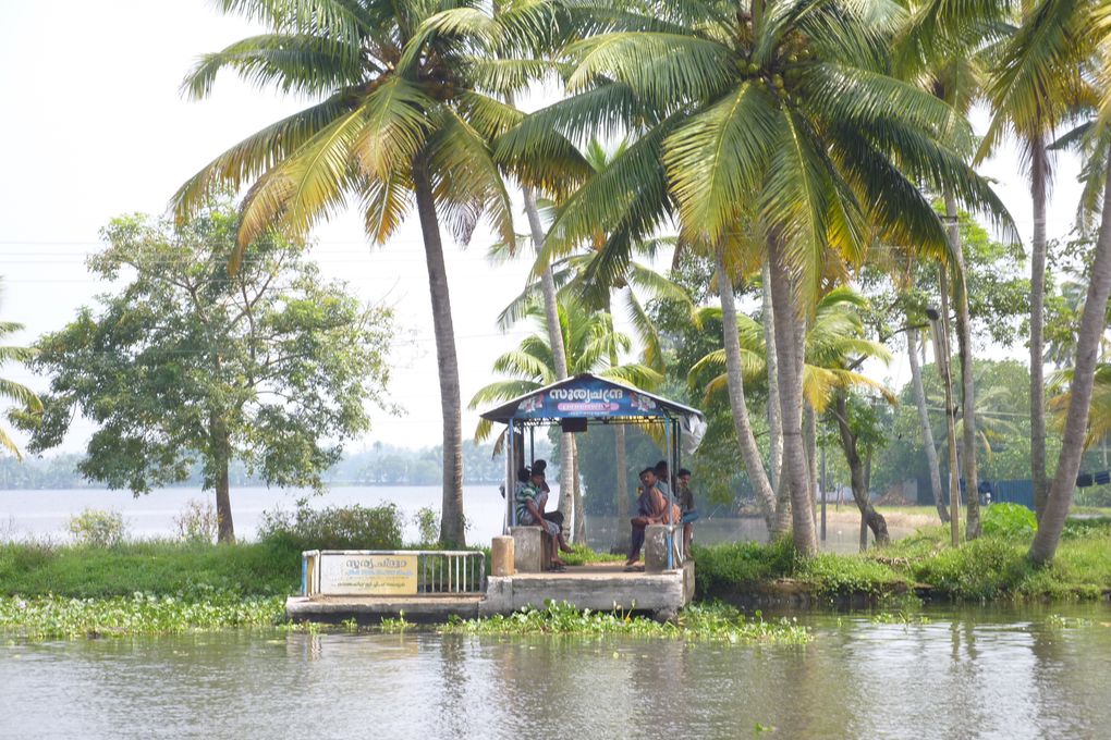 Des photos principalement des backwaters. J'espère que ca ne vous "saoulera" pas trop. Nous c'est notre partie préférée du voyage.