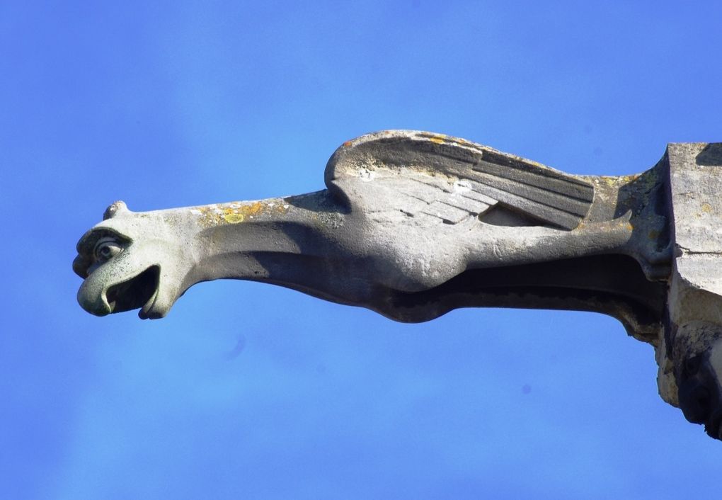 Un conseil pour voir les gargouilles, équipez-vous de jumelles. Images réalisées ci-dessus au 300 mm