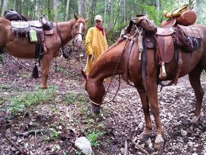 Etape 1, départ du gîte "Le Berbois", une journée sous le signe de la purée de poix !