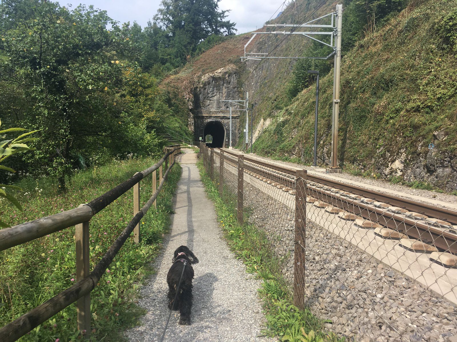 10 septembre 2021 : La voie Suisse entre Flüelen et Sisikon