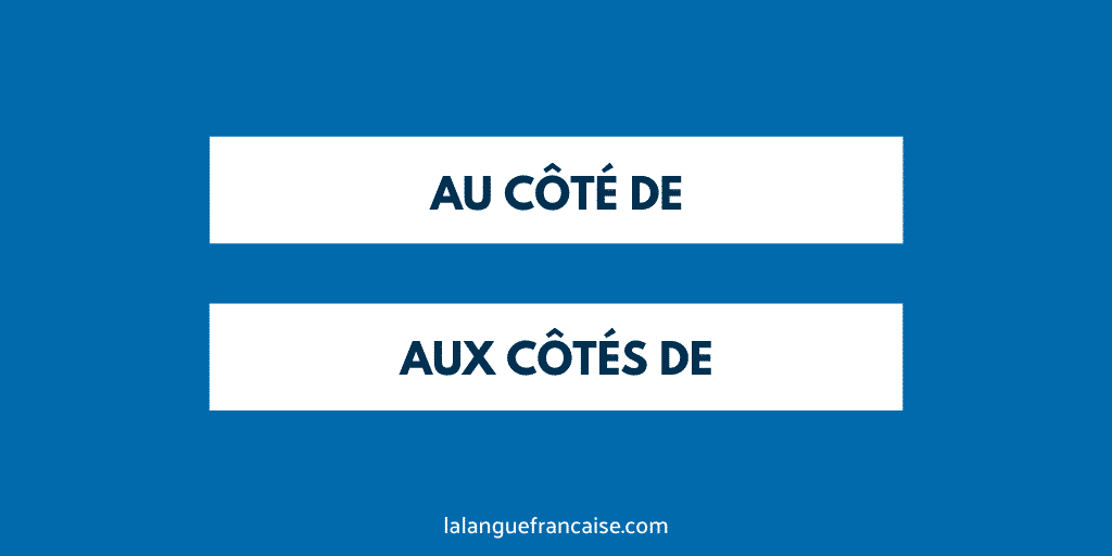 Fautil écrire « au côté de » ou « aux côtés de » ?  Le blog de
