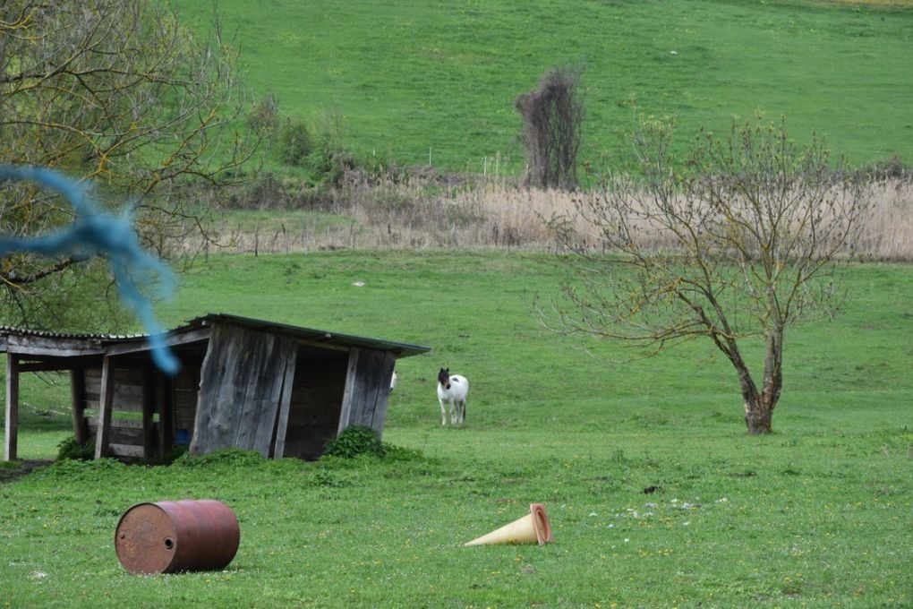 &quot;En avant Les Marches&quot;