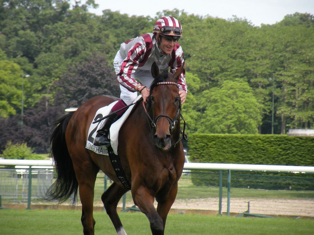 Album - 2014-05-25-Longchamp