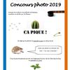 Concours "photo" 2019 - Louis Pasteur
