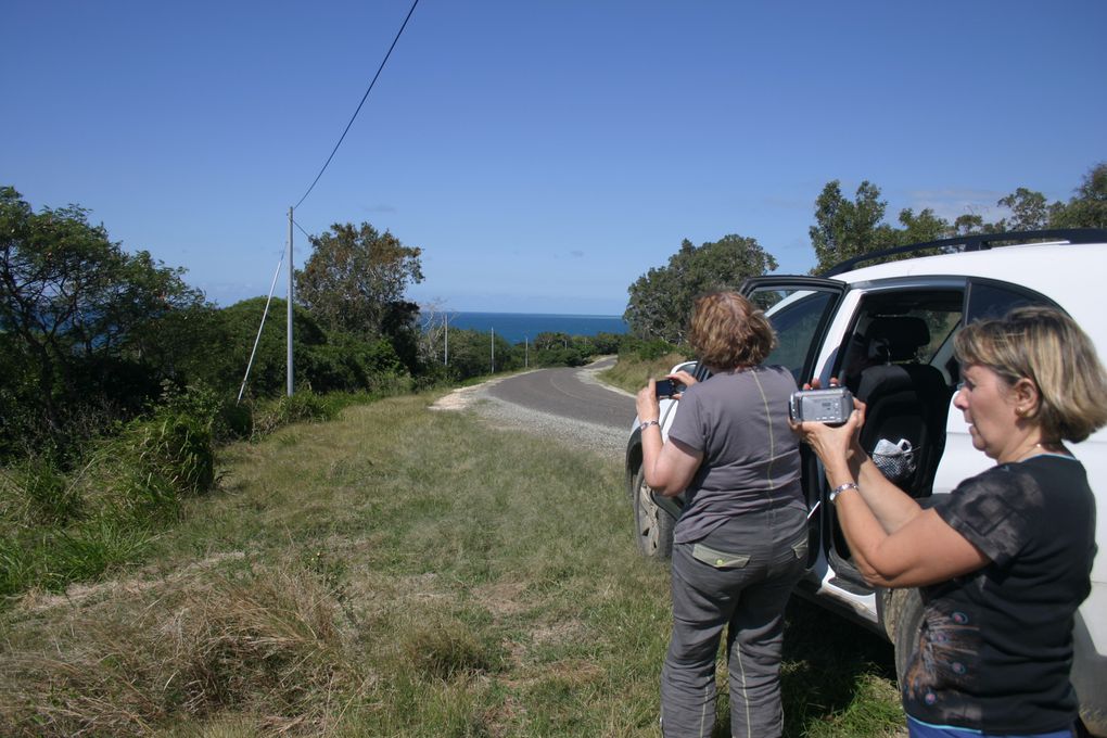 Album - La-route-fleurie