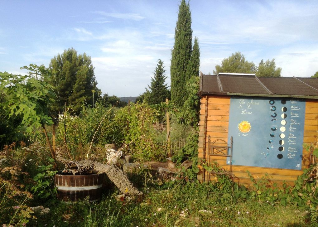 Jardin des saveurs, jardin magique, hortus du "Matrimoine Méditerranéen", jardin de la fraternité, engrais vert et jachère fleurie ... un petit coin de paradis à La Ciotat.