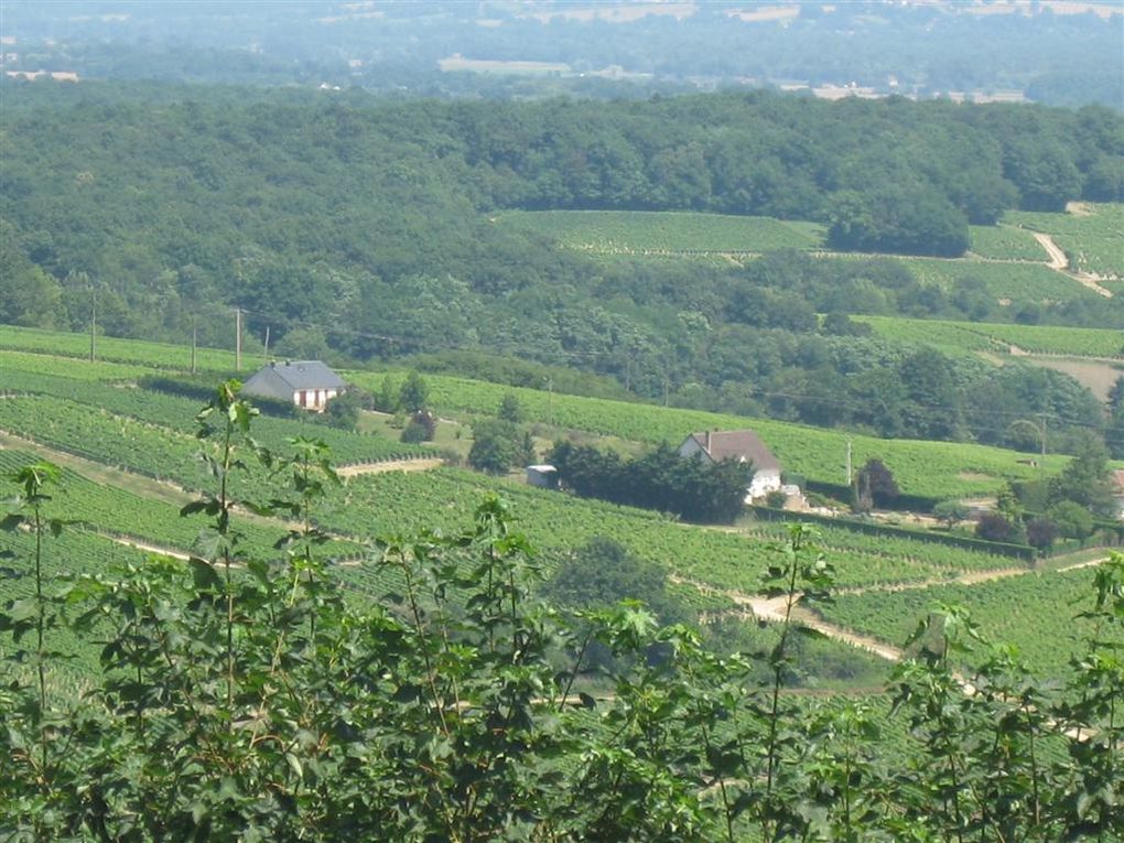 Un petit aperçu de Sancerre et de ses environs