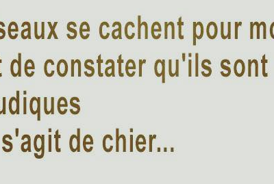 La blagounette du samedi soir..........