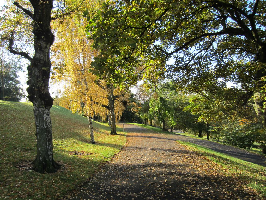 Le parc est absolument SPLENDIDE en automne (surtout dès qu'il y a un rayon de soleil), comme vous pouvez le voir sur ces quelques photos que j'ai prises moi-même en octobre 2012 !