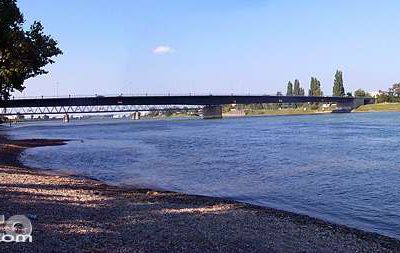 Reportage "Le Rhin, visages d'un fleuve" 