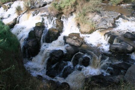 Awash National Park, Rift Valley, East Ethiopia. Fauna and Flora around the park and the Awash river.