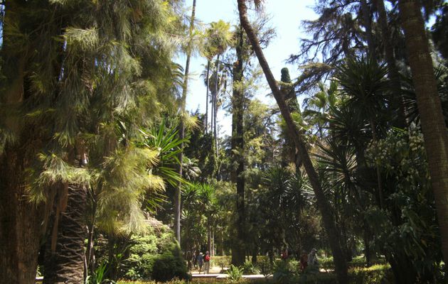 Le thème de la nature dans la littérature 