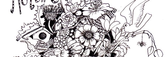Flowers in November