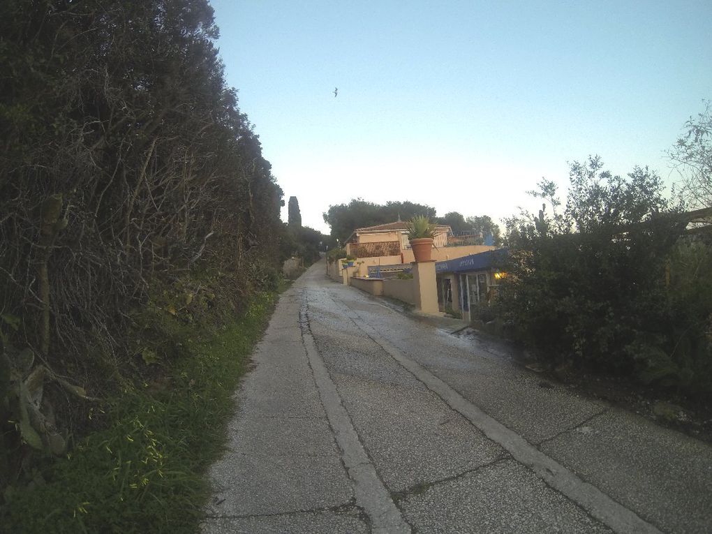 Corniche des Arbousiers