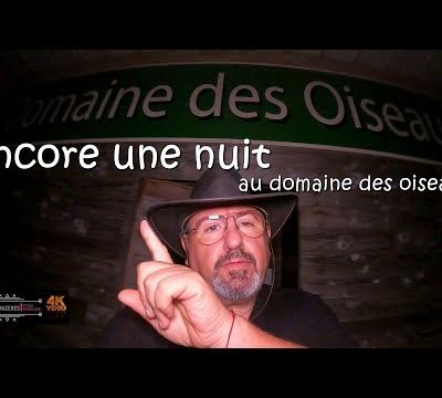 Encore une nuit au domaine des oiseaux...