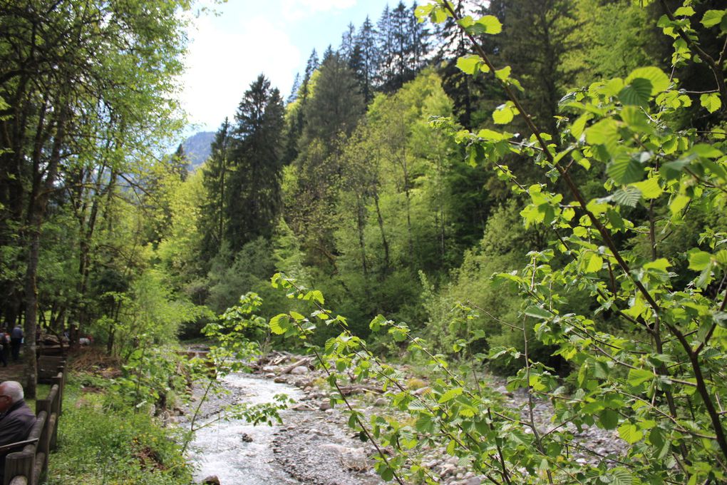 L'écomusée du bois et de la Forêt.