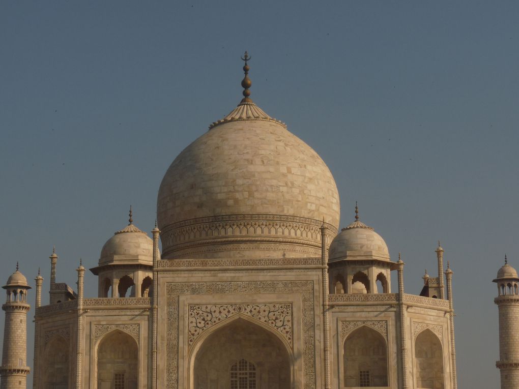 Album - AGRA-et-le-TAJ-MAHAL