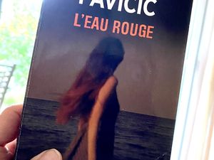 Ed. Le Point (2017), traduit du croate par Olivier Lannuzel