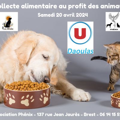 Collecte alimentaire au Super U de Daoulas 