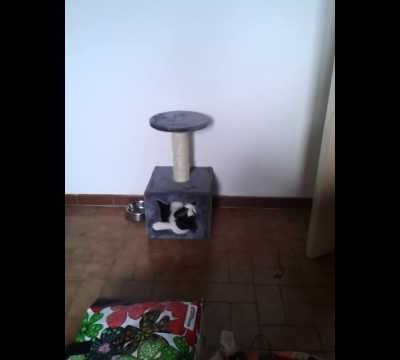 Coucou c'est moi :D !!!