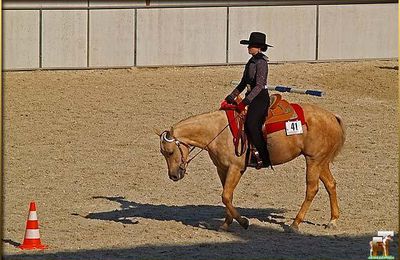EPHC 2006 - Solid Paint-Bred Youth Horsemanship All Ages