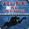 Sherlock Holmes und der Hund der Baskervilles