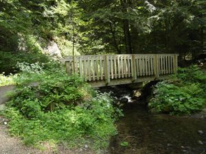 Sur la route de la Cascade du Queureuilh