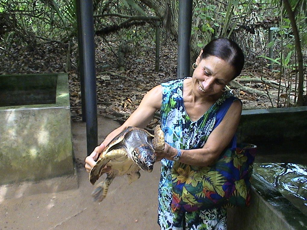 La faune du Sri Lanka