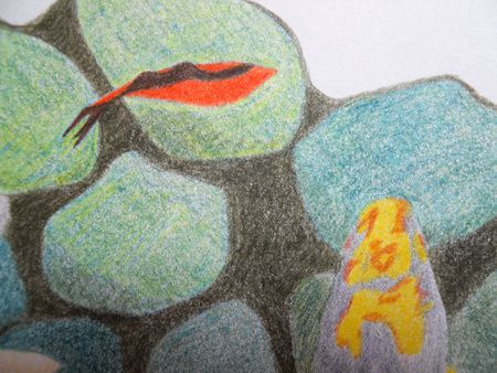 Collection de dessins.
Crayons de couleur sur papier.
2012