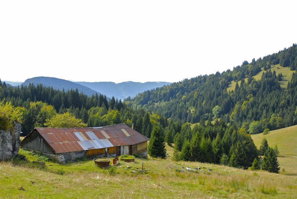 Album - beauges