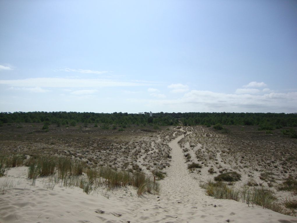 Album - avec-surf-rider-foundation à st nicolas natura 2000