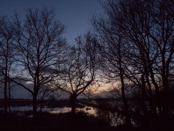 Marais de Crossac